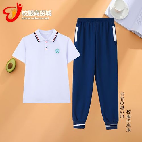 华美实验一实育才新款夏季校服短袖中小学生男女统一校裤班服套装