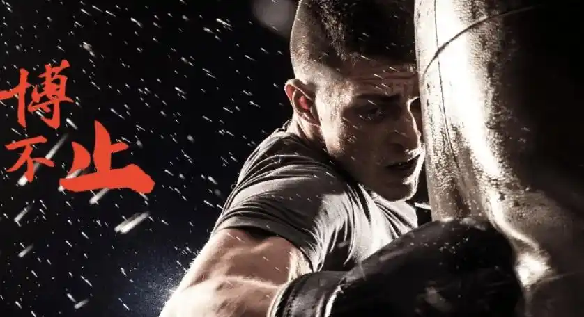 创业是一场马拉松还是一场自由搏击赛