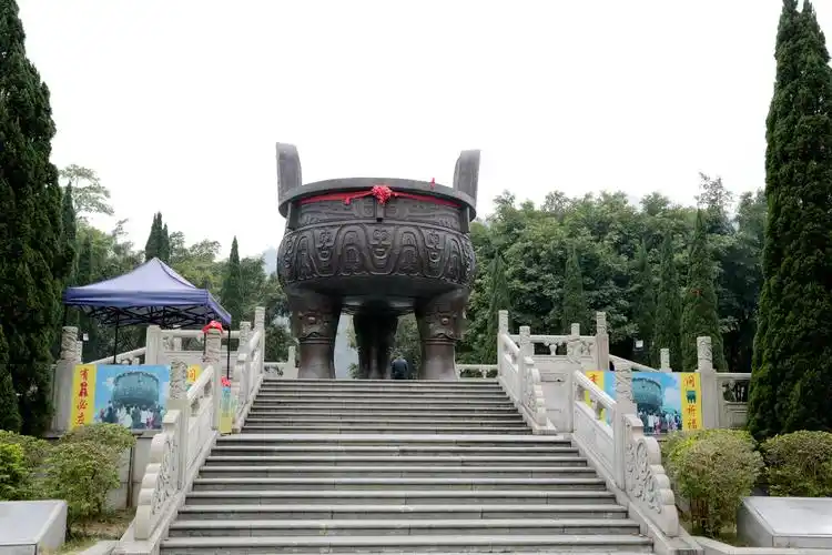 你在北方赏雪,我在南方赏花!这个冬天,广东花开富贵!