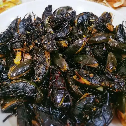 海鲜大排档海蟑螂🪳