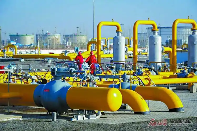 塔里木油田天然气集输站(2020年12月9日摄). 塔里木油田供图