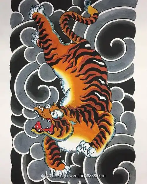 连云港金融分析师汲先生的满背传统老虎纹身手稿图案欣赏