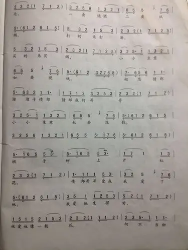 花鼓戏瓜子红拉大筒用什么调