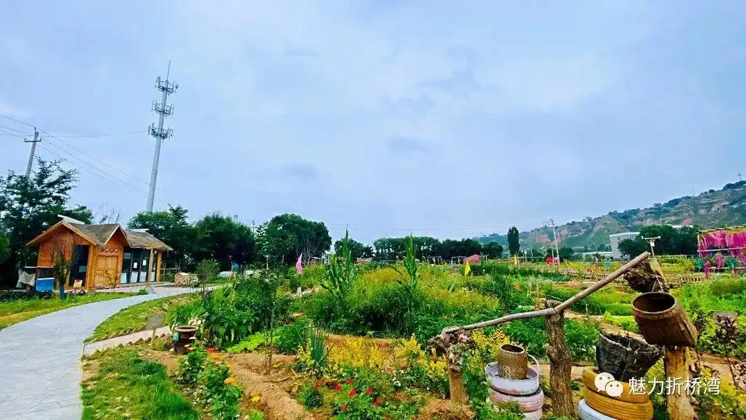 折桥镇金色田园慈王农庄美图欣赏