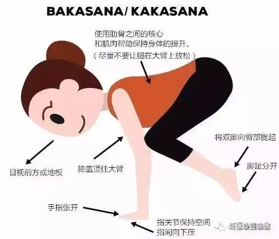 瑜伽体式精讲丨乌鸦式 (bakasana)解析