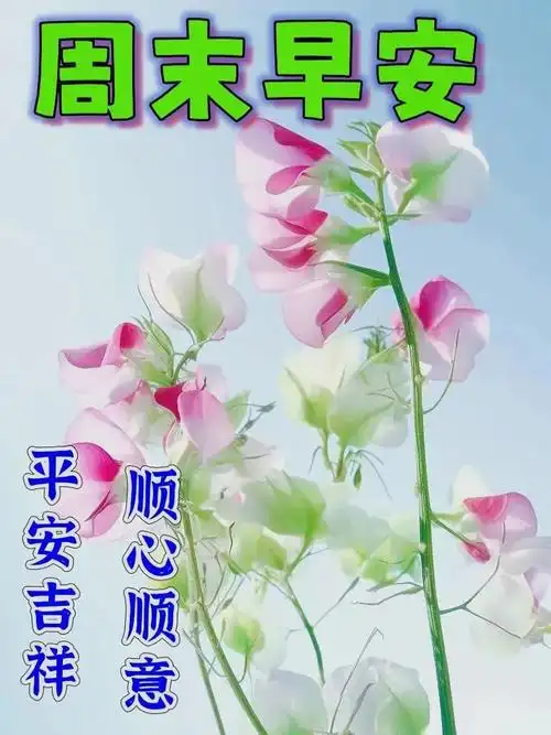 6月4日周日早上好,请问唯美温馨祝福图片最新消息动态公布-北斗民商大