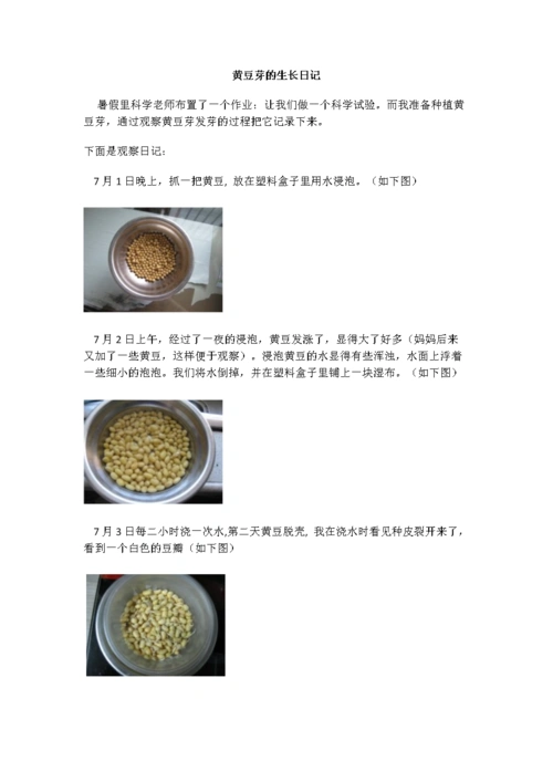 黄豆芽的观察日记.doc