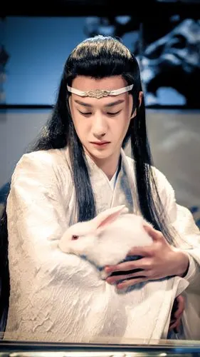 是非在己,毁誉由人(陈情令)剧评