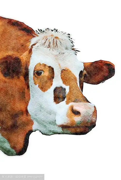 一头牛的水彩画