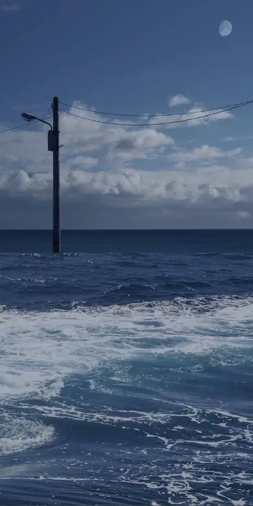 你们都有哪些好看的手机壁纸呀