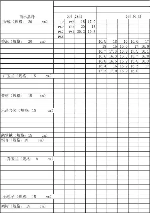 三区块南扩进场苗木胸径表