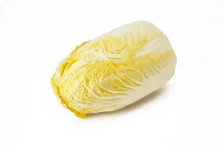 白底蔬菜白菜大白菜一颗白菜新鲜蔬菜