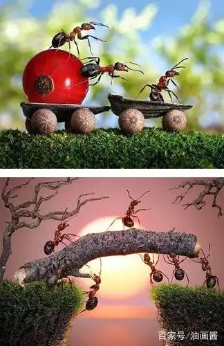 这么多年,这幅"励志蚂蚁"图终于找到作者了