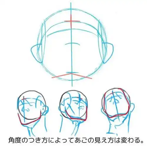 平视时,人物脸型一般是上宽下小的流畅鹅蛋形,但在仰视视角下,人物的