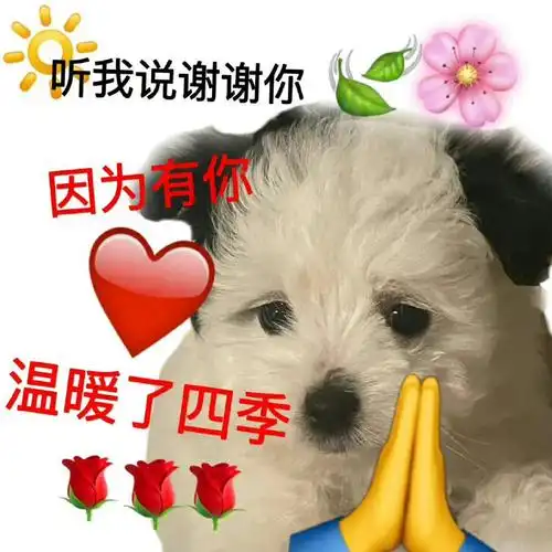 真是笑不活了,小尼表示:听我说谢谢你～因为有你～@余景天-yjt