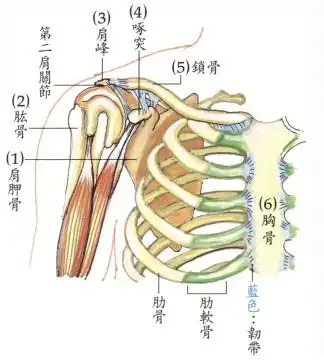 拜佛与医学 第八讲