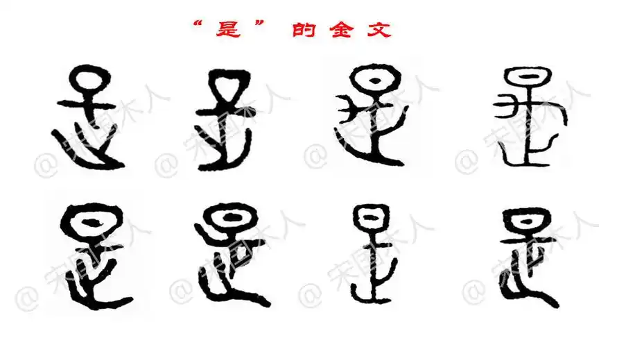 是汉字的起源与演变小学一年级语文生字第63集