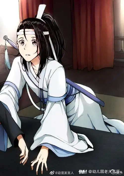 魔道祖师 思追雅正啊!雅正!