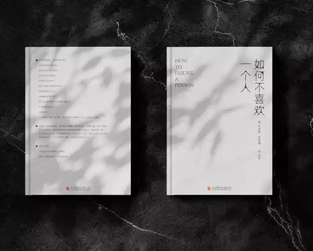 《如何不喜欢一个人》书籍封面日式简约设计