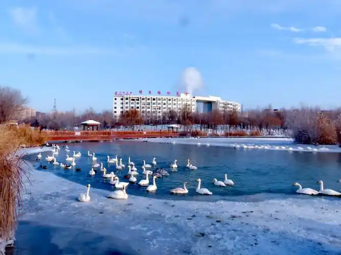 12.25上午,博乐滨河公园.