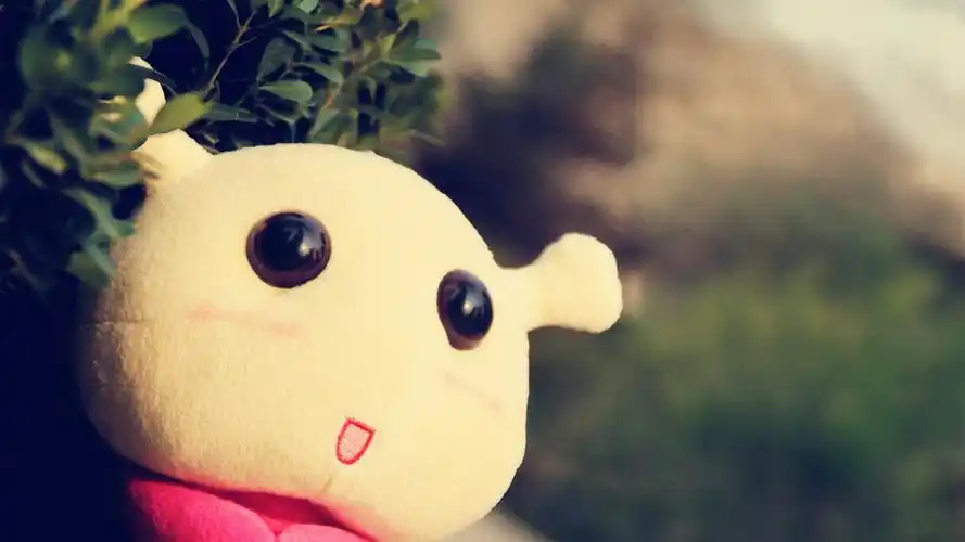 恋物主义回忆的色彩1920*1080桌面壁纸