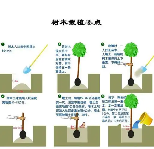 【热点关注】本周六,去义务植树吧(附新疆维吾尔自治区义务植树条例)