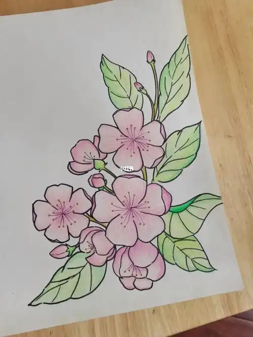 好久没画彩铅了,更新一张樱花94