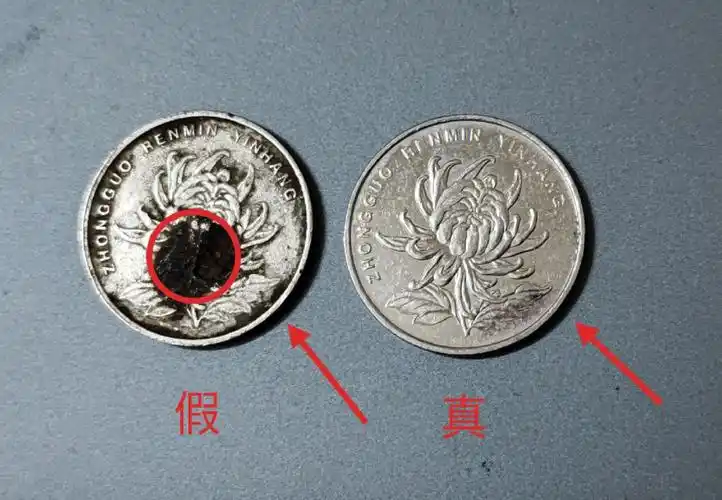 反假硬币联盟第二期