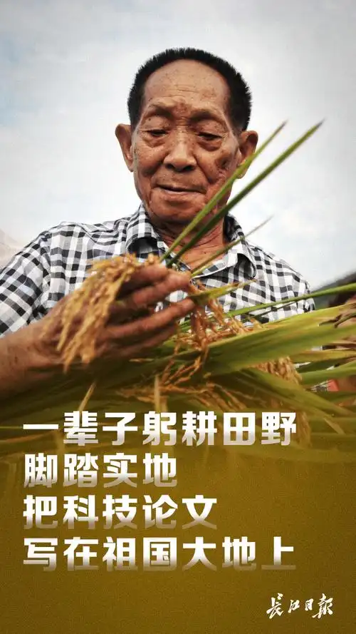 对袁隆平最好的纪念就是学习他这些高贵品质和崇高风范海报图集