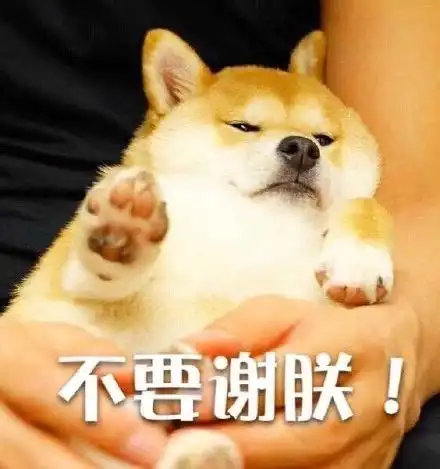 不要谢朕来自狗狗的拒绝汪星人doge拒绝装逼表情