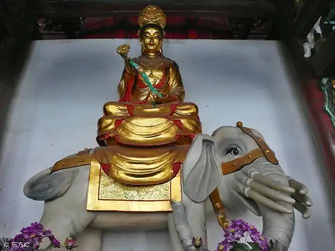 文殊菩萨心咒回向文殊师利勇猛智 普贤慧行亦复然我今回向诸善根 随彼