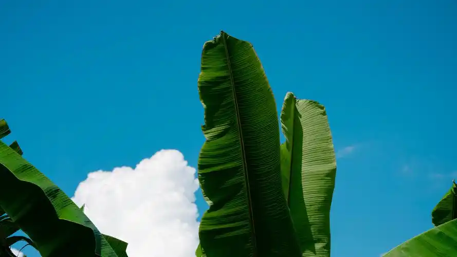 ipad 壁纸 - 堆糖,美图壁纸兴趣社区