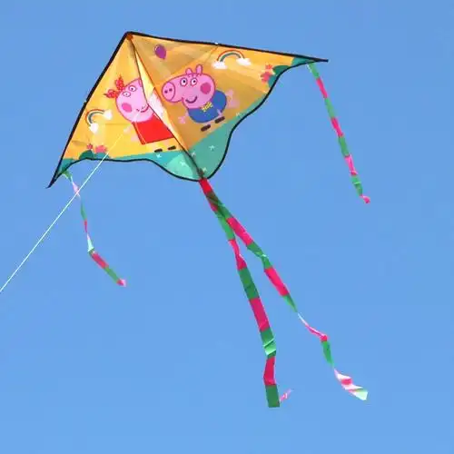 风筝成人高档飞轮大型新款卡通儿童易新手新手风筝