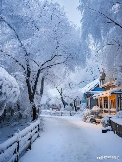 那些冬天才有的美景#冬天的美景冬天,是一个充满神秘和美丽的季 ..