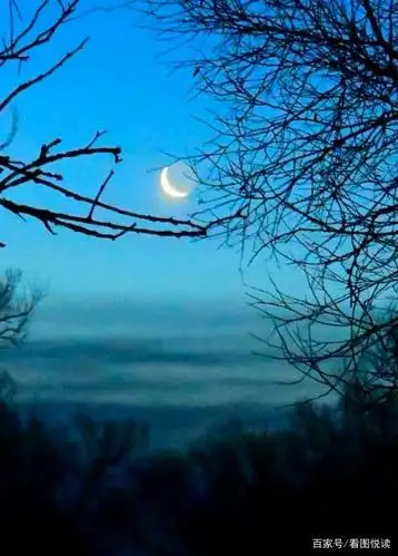 一弯月牙,让我背着诗囊,敲响黎明前的灰暗