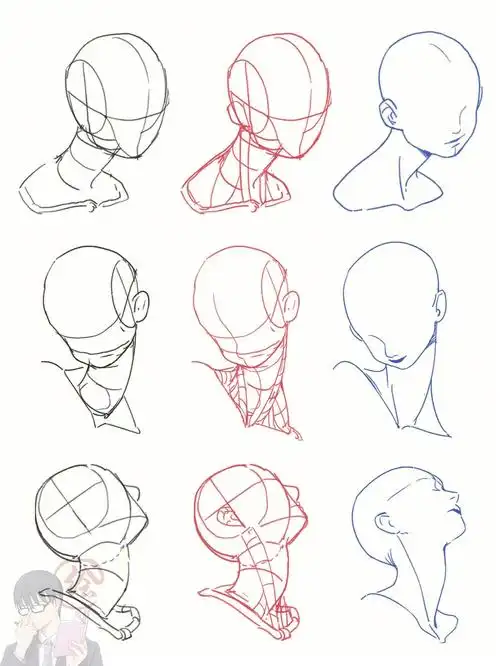 人体练习动漫女生的脖子画法22100