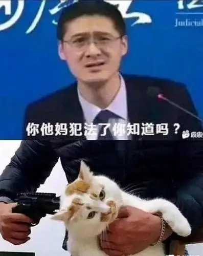 罗翔说刑法:"你违法了,你知道吗"