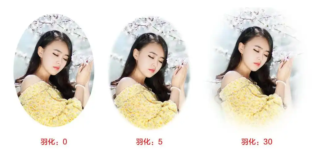 ps羽化值大小有什么区别区别及ps羽化设置技巧