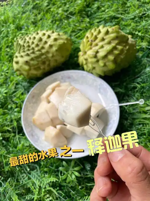 甜蜜水果泰国进口奶油释迦果