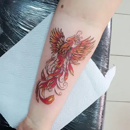 小臂小清新火凤凰纹身图案