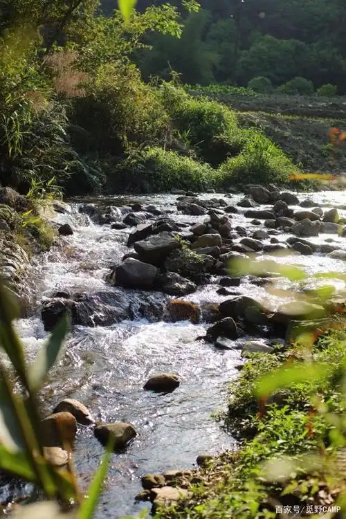 夏天不去溪边玩,真的会遗憾的!