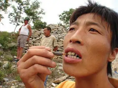 辽宁一男子爱吃活蝎子 身体常年发凉(图)