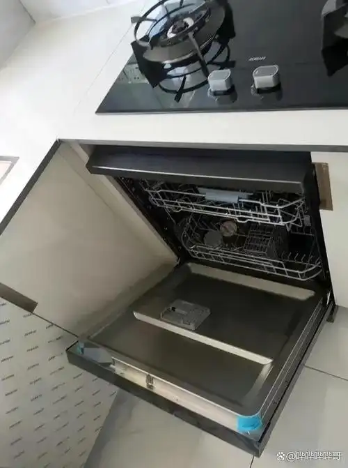 购买洗碗机的想法最初是受到了网上商家的热烈宣传,他们赞扬洗碗机