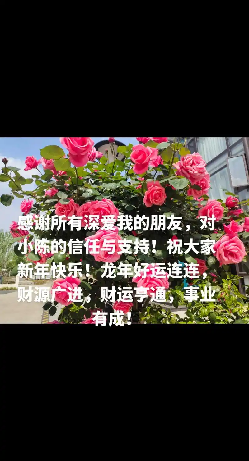 感谢所有深爱我的朋友,对小陈的信任与支持!祝大家新年快乐!龙 - 抖音