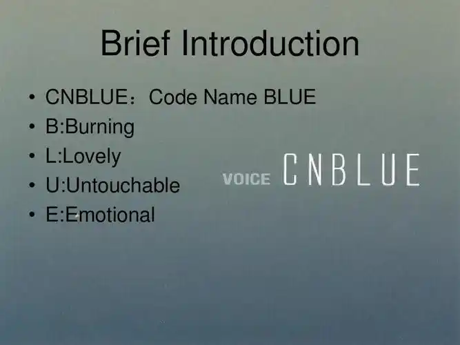 cnblue英文简介ppt