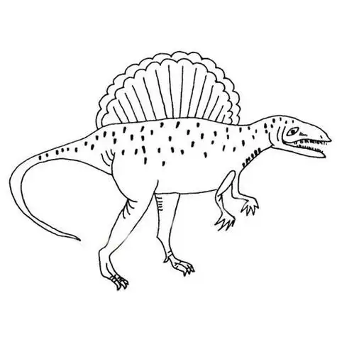 龙简笔画带颜色教程棘龙简笔画一步一步绘画模板棘龙兽脚类恐龙简笔画