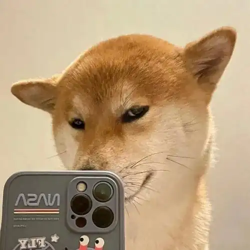 头像丨男生你还是让我对世界温柔的理由