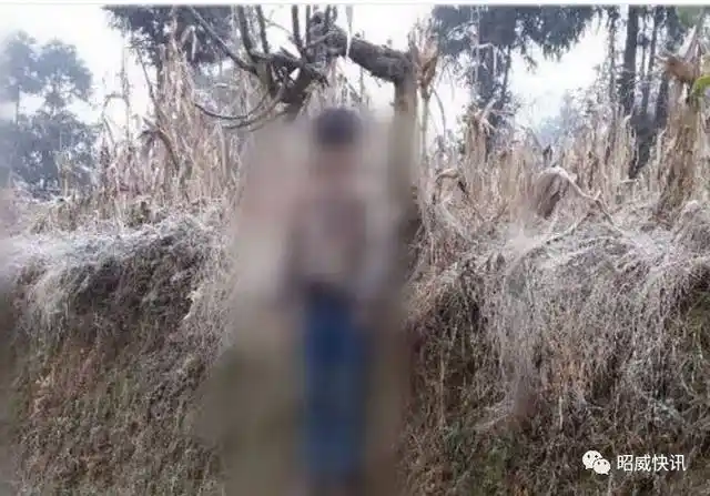 昭通吊死青年男子身份已确认,他是这里的人!