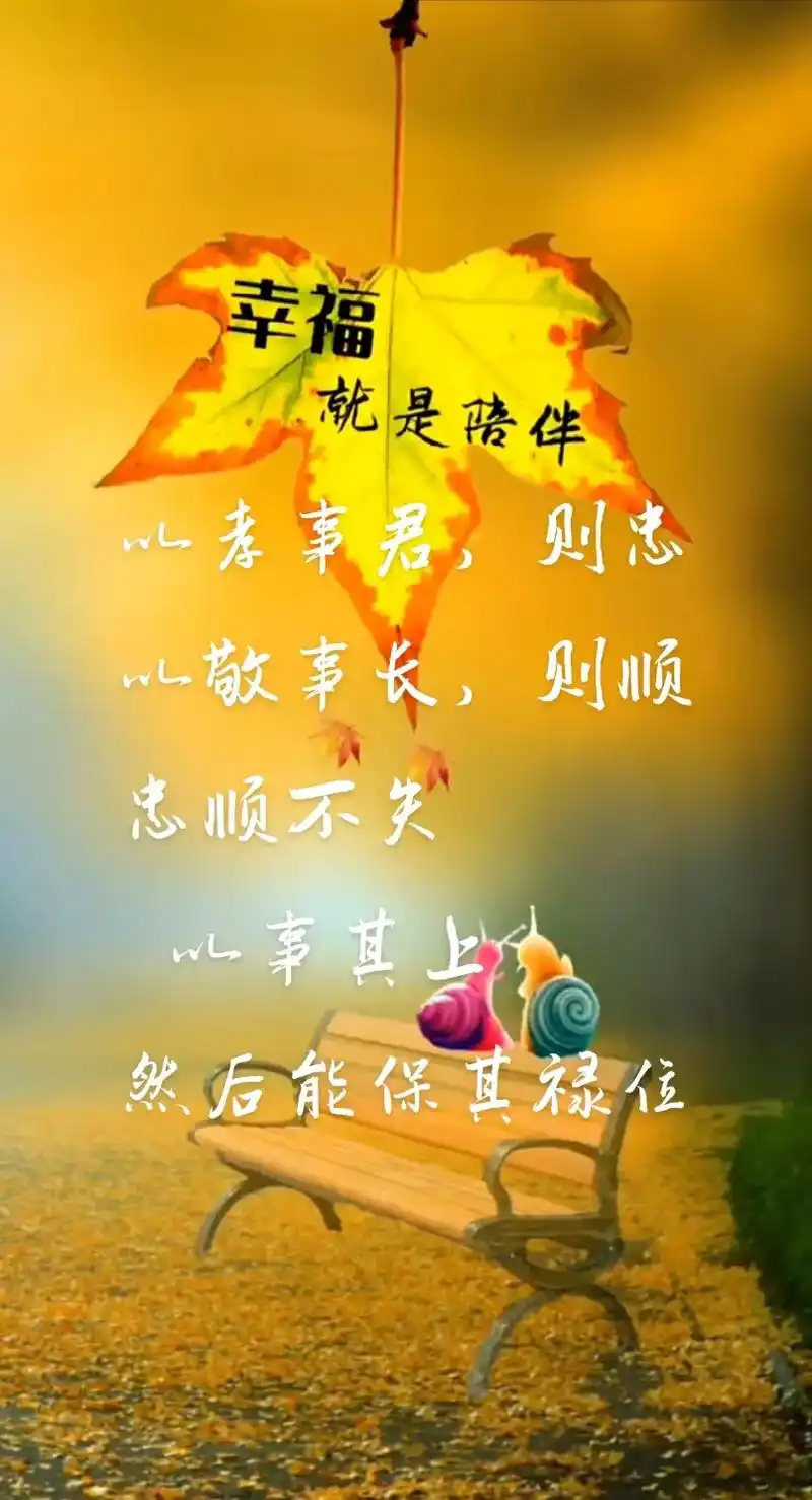 圣言#人生感悟#传统文化~~~治愈自己,放下过去  据不完 - 抖音