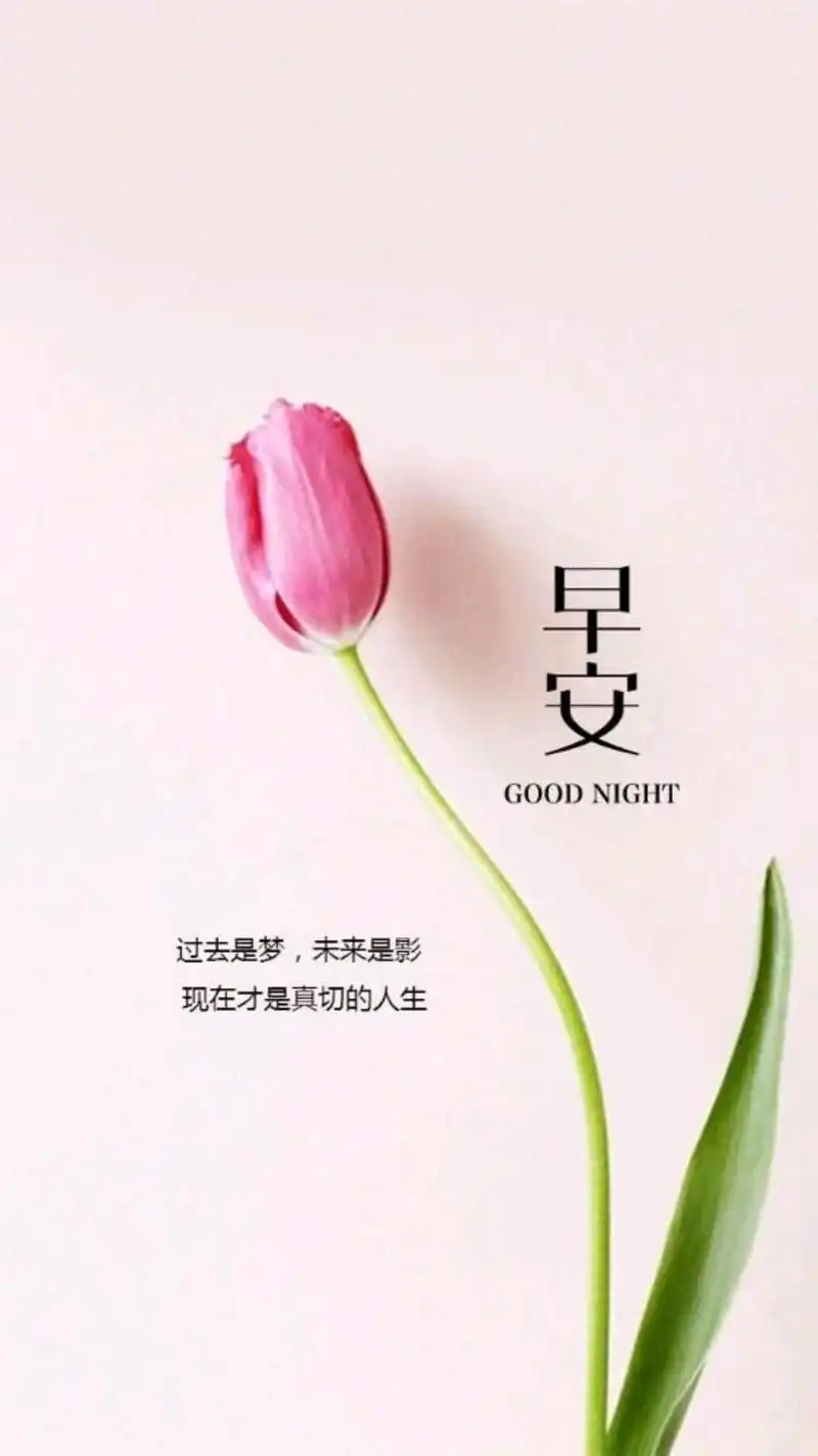 早安朋友圈文案,励志正能量的早安句子,又是元气满满的一天!